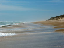 Plage - Coorong NP - Australie